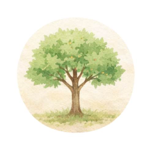 CREAR (5-7 años)