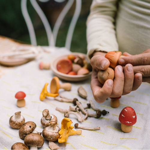 Mushroom Grove